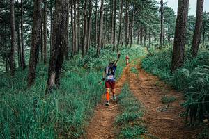 BIB: 
                            <button type="button" onclick="openModal(25700886)" class="btn btn-primary btn-sm float-right btn-popup" data-toggle="modal" data-target=".modal-high-quality">
                        <i class="fas fa-shopping-cart"></i> Add to Cart
                    </button>
                                            <button type="button" onclick="isThisMe(25700886, true)" class="btn btn-success btn-sm float-right btn-popup btn-isme hidden" data-toggle="tooltip" data-placement="bottom" title="นี่คือรูปของคุณใช่ไหม คลิกที่นี่เพื่อเอาเข้าอัลบั้ม">
                        <i class="fas fa-plus"></i> Add to album
                    </button>
                    <button type="button" onclick="isThisMe(25700886, false)" class="btn btn-warning btn-sm float-right btn-popup btn-isnotme hidden">
                        <i class="fas fa-ban"></i> Remove from album
                    </button>